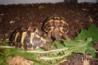 Dscf0004.jpg (424396 Byte)