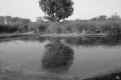 Gro�er Teich im Pinios-Delta
