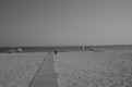 gr_dsc7.jpg (61951 Byte)